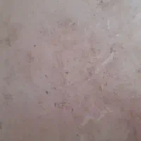 یک عدد فرش ۱۲ متری تمیز با یک کناره و یک گلیم آشپز