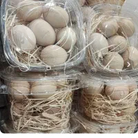 تخم مرغ محلی|خوردنی و آشامیدنی|سنندج, |دیوار