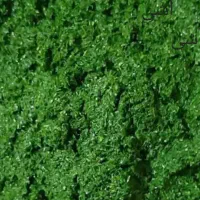 سبزی خشک و آبپز درجه یک خانگی محلی|خوردنی و آشامیدنی|اهواز, دغاغله|دیوار