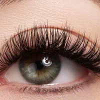 اکستنشن و کاشت مژه|خدمات آرایشگری و زیبایی|زنجان, |دیوار