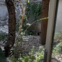 ۱۰۰ متر بنا محله صدر دنج|اجارهٔ دفتر صنعتی، کشاورزی، تجاری|تهران, درب دوم|دیوار