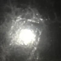 اجاره مغازه تجاری ۳۵۰ متری به همراه سوله