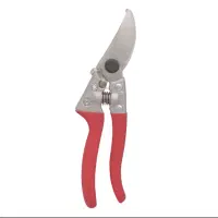 قیچی باغبانی داتیس|ابزارآلات|ساری, |دیوار