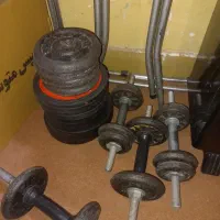 هالترودمبل