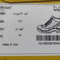 ایمنی بهشتیان