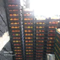 نیروی ساده جهت کار در میوه فروشی