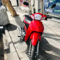 ویو اصل ژاپن