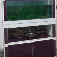 کمد آکواریوم و آکواریوم با همه ی  امکانات