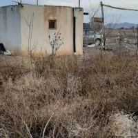 باغ زعفران و میوه
