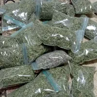آویشن، چای کوهی و...
