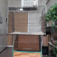 قفس پرنده