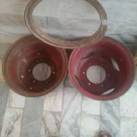 یک جفت رینگ خاورمعمولی ویه بچه رینگی