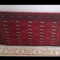 پشتی|پشتی|مشهد, خواجه ربیع|دیوار