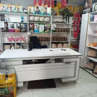به یک همکار خانم جهت فروشندگی در پت شاپ