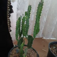 قیمت ۲۵۰۰۰۰تومان