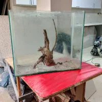 آکواریوم بزرگ با چوب