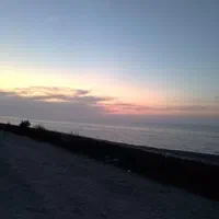 مشارکت برج جنگلی و ساحلی