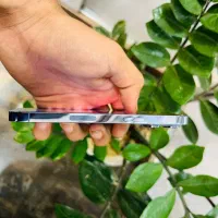 اپل iPhone 13 Pro با حافظهٔ 128 گیگابایت|موبایل|قدس, شهر‌قدس|دیوار