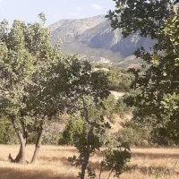 راننده پایه دو۲هستم مدارک کامل