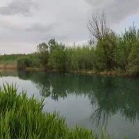 فروش یک واحد از واحد های سپهر گوشه