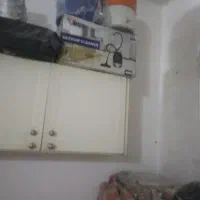 جارو برقی