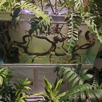 اکواریوم شرکتی