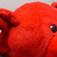 عروسک ولنتاین|اسباب‌‌بازی|مشهد, نوید|دیوار