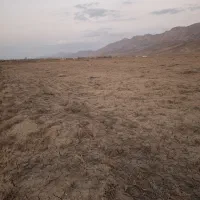 زمین-کشاورزی-بالا-رودبار-فولاد-محله