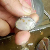 پنج عدد انگشتر|جواهرات|فسا, |دیوار