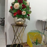 میز|میز تلفن|تربت‌حیدریه, رضاشهر|دیوار