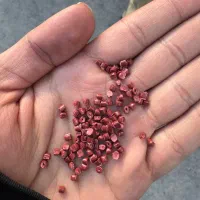 گرانول پ پ (pp) رنگی درجه ۱|عمده‌فروشی|تهران, شکوفه (عبدل آباد)|دیوار