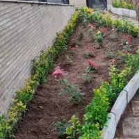 خدمات باغبانی و کشاورزی|خدمات باغبانی و درختکاری|زاهدان, |دیوار