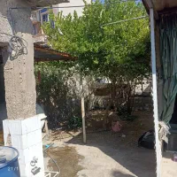 خانه|فروش خانه و ویلا|بندر دیر, |دیوار