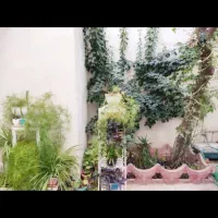 رهن-واجاره-منزل2طبقه-ویلایی4خوابه-تخلیه
