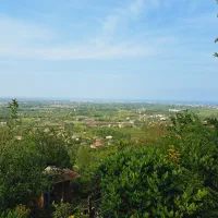 ۳قطعه زمین ۶۰۰متری کنار هم بر جاده،قطعه ای ۱۲۰۰|فروش زمین و ملک کلنگی|واجارگاه, |دیوار