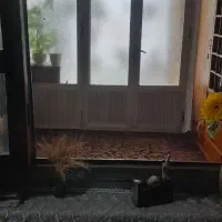 فروش یامعاوضه بااپارتمان