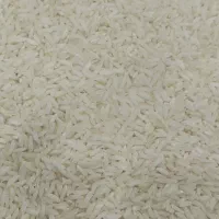 برنج درجه یک سال دوم محلی دورود