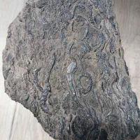 سنگ ناشناخته