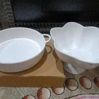 ظروف پذیرایی