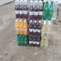 انواع دلستر مارک هایسنس
