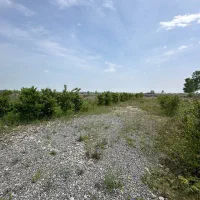 الان-وقت-سرمایه-گذاری-زمینه250متری-باسندعرصه-عیان