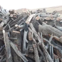 چوب بادام خشک|خدمات باغبانی و درختکاری|بروجرد, |دیوار