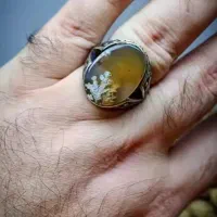 زمینه لیمویی انگشتر شجر|جواهرات|اصفهان, کشاورزی|دیوار