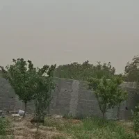 باغچه چهار دیواری|فروش زمین و ملک کلنگی|محمدشهر, عباس آباد|دیوار