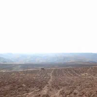 زمین کشاورزی دیم دو هکتار چرداول