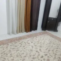 فرش ۶ متری بدون ترنج کرم ۳۰ رنگ ابریشم