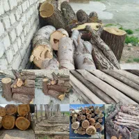 خریدوفروش انواع چوب|عمده‌فروشی|خمین, |دیوار