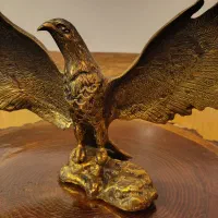 فروش عقاب برنجی برنزی|کلکسیون اشیاء عتیقه|بهشهر, |دیوار