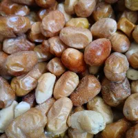 سنجد خشک شده دانه درشت  امسال|خوردنی و آشامیدنی|شیراز, درکی|دیوار