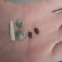 کلکسیونی|بدلیجات|شهرکرد, |دیوار